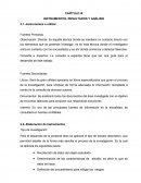 INSTRUMENTOS, RESULTADOS Y ANÁLISIS