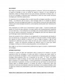 Estrategias Gerenciales BLUE INSIGHT