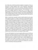 Analisis grupo bimbo