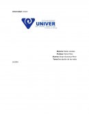 Descripción de las redes sociales