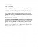 ROMPIMIENTO RÁPIDO PARA 2, 3, 4 Y 5 PERSONAS