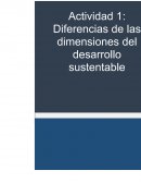 Diferencias de las dimensiones del desarrollo sustentable