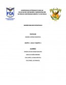 CUESTIONARIO SESION 1 ADMINISTRACION ESTRATEGICA ZACARIAS TORRES