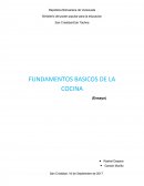 Fundamentos Básicos de la Cocina