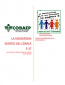 INTRODUCCIÓN- HIPOTESIS