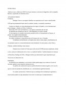Analiza el caso y elabora un DAFO en el que resumas y concretes el diagnóstico de la compañía. Razona y argumenta los elementos clave.
