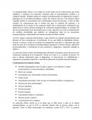 La neuropsicología clínica es un campo de acción dentro de las neurociencias que busca establecer