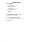 Ensayo sobre Caza furtiva e indiscriminada del cóndor