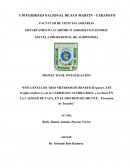 Como se da el Proyecto de tesis calidad de cafe