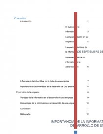 Cual es la Importancia de la informatica para el desarrollo de una empresa. Página 2