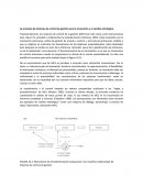 Como se da La promesa de sistemas de control de gestión para la innovación y el cambio estratégico