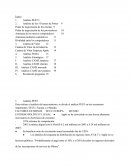 ENSAYO SOBRE EL CASO PRÁCTICO IPHONE