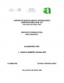 PROYECTO PRODUCTIVO: MAIZ VARIEDAD 2