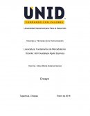 Fundamentos de Mercadotecnia Ensayo
