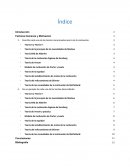 Describa cada una de las teorías mencionadas acerca de la motivación