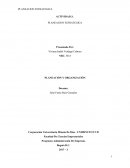 PLANEACIÓN Y ORGANIZACIÓN ACTIVIDAD