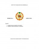 La utilización de vehículos aéreos no tripulados para el Análisis de Imagen Digital (DIA)