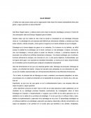 RESUMEN BLUE INSIGHT