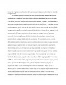 Ensayo de “Aplicaciones y beneficios de la automatización d proceso administrativos dentro de la organización”.