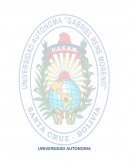 Una nueva Estrategia Comercial "IDENTIFICATE SEGURIDAD EN TUS MANOS"