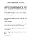 Como se da Arnasketa animalietan