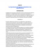 La importancia del ingeniero industrial en las organizaciones