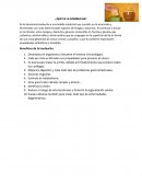 ¿Qué es la kombucha?