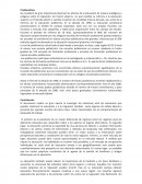 Mobilidad DE LA Problemática