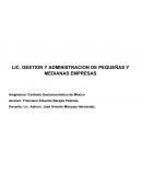 LIC. GESTION Y ADMINISTRACION DE PEQUEÑAS Y MEDIANAS EMPRESAS