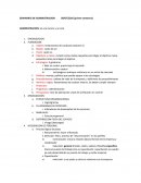 SEMINARIO DE ADMINISTRACION