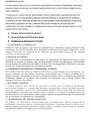 APRENDIZAJES CLAVES. PLANTEAMIENTO CURRICULAR