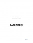 Defina los segmentos estratégicos relevantes para las actividades de Tissex.