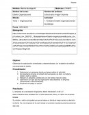 Organización centralizada y descentralizada