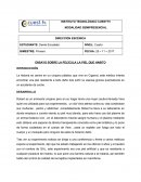 COMOS E DEBE DAR EL ENSAYO DE LA PELICULA LA PIEL QUE HABITO