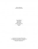 Taller de Aplicación Sistemas de Información