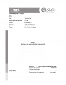 Sectores de una actividad Empresarial