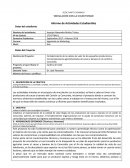 COMO SE DA UN INFORME DE VINCULACION