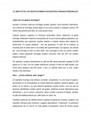 El impacto de los gastos hormiga en nuestras finanzas personales