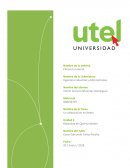 Nombre de la materia- Colaboracion en redes