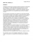 Ejemplo de Seminario derecho constitucional