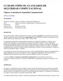 Cuales son los Tópicos Avanzados de Seguridad Computacional