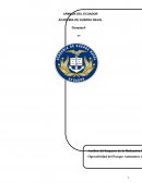 Como se d ael Analisis del impacto de la reduccion presupuestara al parque automotor de BASUIL