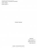 Animales terapeutas Objetivo y Justificación.