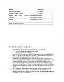 El Act 2 electronica automotriz