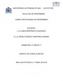 COMO SE DA EL ENSAYO DE CASOS CLÍNICOS DE ENFERMERÍA