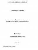 Como se da el Decálogo De Los Equipos Altamente Efectivos