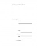 Como se da la Reingenieria de procesos