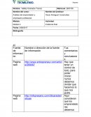 Análisis del emprendedor y empresario profesional