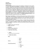 Viendo la necesidad que tiene las mujeres de ser protegidas