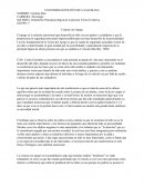 Ensayo sobre Crianza con apego